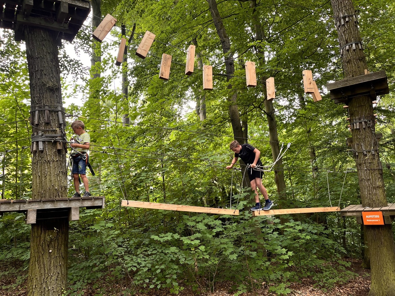 Kletterwald Gera Abenteuer - Bild 1