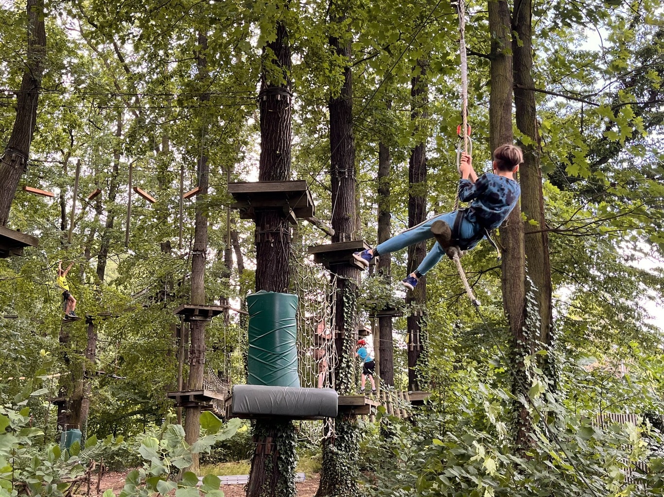 Kletterwald Gera Abenteuer - Bild 2